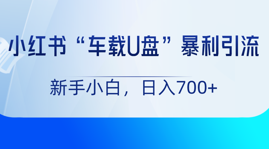 图片[1]-小红书“车载U盘”项目，暴利引流，新手小白轻松日入700+-智学院资源网