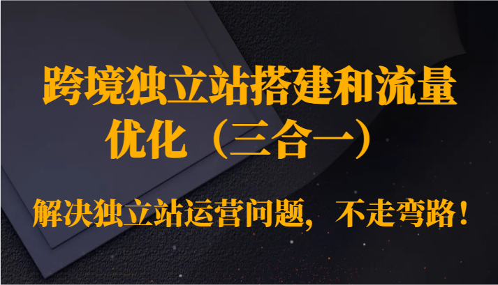 图片[1]-跨境独立站搭建和流量优化（三合一）解决独立站运营问题，不走弯路！-智学院资源网