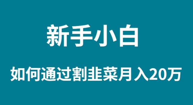 图片[1]-新手小白如何通过割韭菜月入 20W-智学院资源网