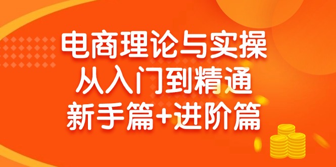 图片[1]-电商理论与实操从入门到精通 新手篇+进阶篇-智学院资源网