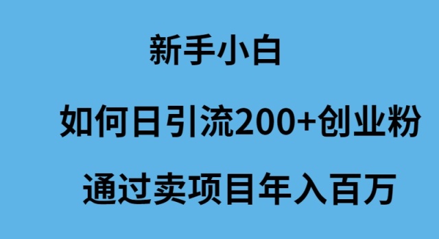 图片[1]-新手小白如何日引流200+创业粉通过卖项目年入百万-智学院资源网