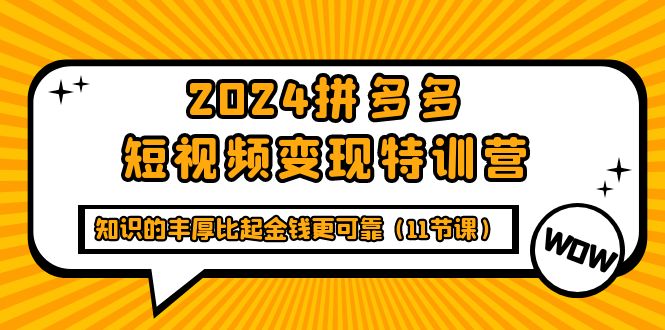 图片[1]-2024拼多多短视频变现特训营，知识的丰厚比起金钱更可靠（11节课）-智学院资源网