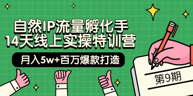 图片[1]-自然IP流量孵化手 14天线上实操特训营【第9期】月入5w+百万爆款打造 (74节)-智学院资源网