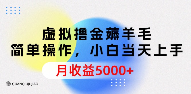 图片[1]-虚拟撸金薅羊毛，简单操作，小白当天上手，月收益5000+-智学院资源网